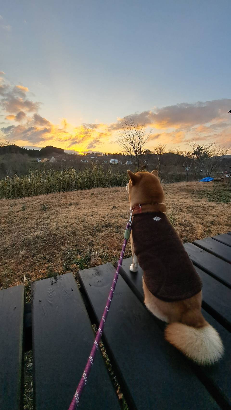 住宅リフォーム7