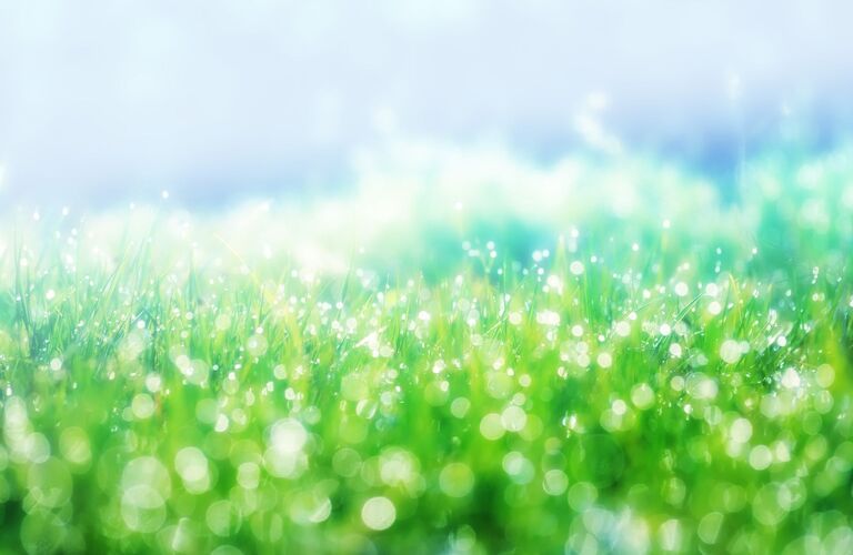 とんでもない二世帯住宅のなが--い平屋